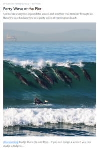 Huntington Beach Pier Dolphin Show